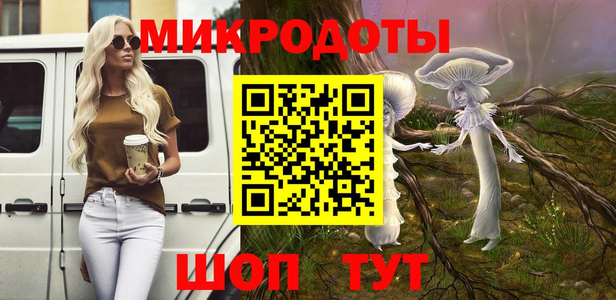 Псилоцибиновые грибы Psilocybe Соликамск